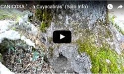 cuyacabras