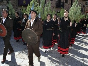 vinuesa