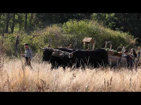 11ª Jornadas de Agrosilvicultura Cabaña Real de Carreteros - Quintanar de la Sierra 2026
